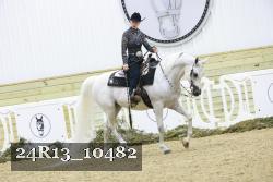 24R13_10482 thumbnail