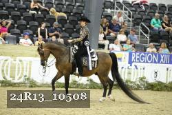 24R13_10508 thumbnail