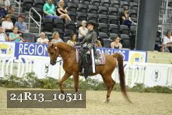 24R13_10511 thumbnail