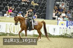 24R13_10514 thumbnail