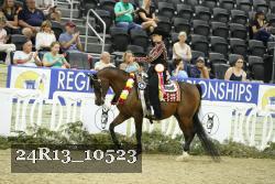 24R13_10523 thumbnail
