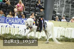 24R13_10527 thumbnail
