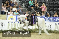 24R13_10528 thumbnail