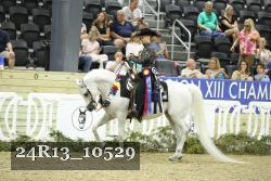 24R13_10529 thumbnail