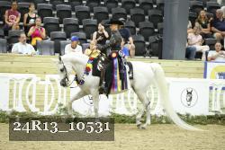 24R13_10531 thumbnail