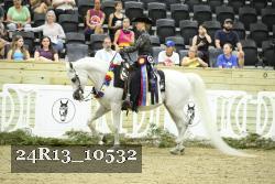 24R13_10532 thumbnail