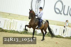 24R13_10547 thumbnail