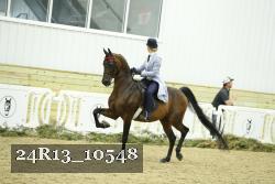 24R13_10548 thumbnail