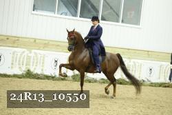 24R13_10550 thumbnail