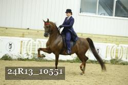 24R13_10551 thumbnail