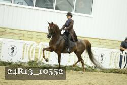 24R13_10552 thumbnail