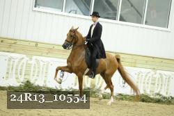 24R13_10554 thumbnail