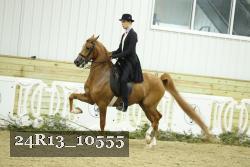 24R13_10555 thumbnail
