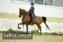 24R13_10558 thumbnail