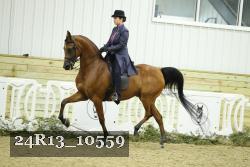 24R13_10559 thumbnail