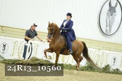 24R13_10560 thumbnail