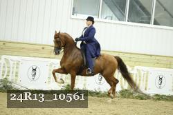 24R13_10561 thumbnail