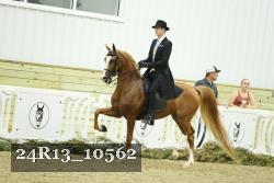 24R13_10562 thumbnail