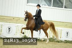 24R13_10563 thumbnail