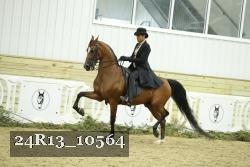 24R13_10564 thumbnail