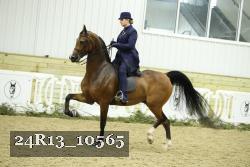 24R13_10565 thumbnail