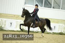 24R13_10566 thumbnail