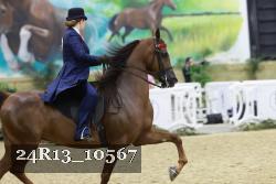 24R13_10567 thumbnail