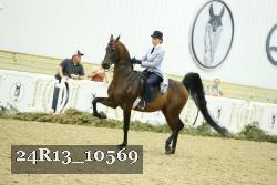 24R13_10569 thumbnail