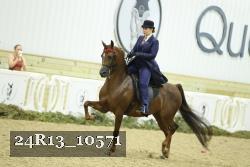 24R13_10571 thumbnail