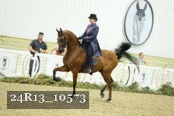 24R13_10573 thumbnail