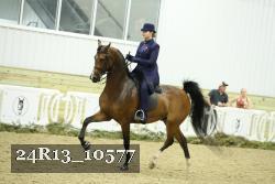 24R13_10577 thumbnail