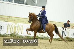 24R13_10578 thumbnail