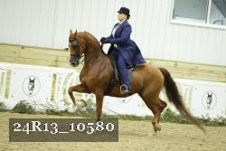 24R13_10580 thumbnail