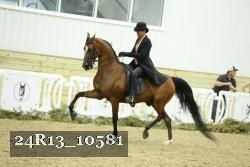 24R13_10581 thumbnail