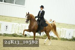 24R13_10582 thumbnail