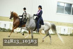 24R13_10583 thumbnail