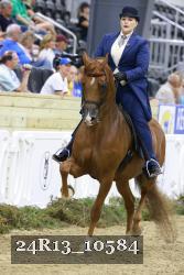24R13_10584 thumbnail