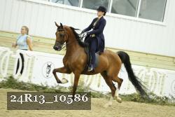 24R13_10586 thumbnail