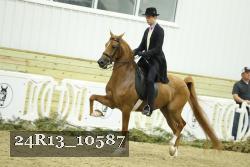 24R13_10587 thumbnail