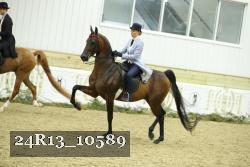 24R13_10589 thumbnail