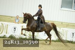 24R13_10590 thumbnail