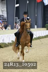 24R13_10592 thumbnail