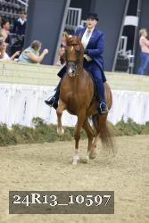 24R13_10597 thumbnail