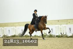 24R13_10602 thumbnail