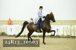 24R13_10603 thumbnail