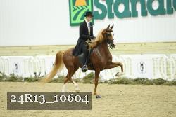 24R13_10604 thumbnail