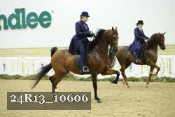 24R13_10606 thumbnail