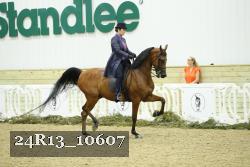 24R13_10607 thumbnail