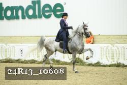 24R13_10608 thumbnail
