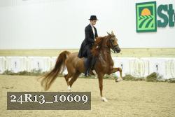 24R13_10609 thumbnail